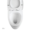 Vlavu WC one piece ( Toilet ) S-trap 250mm , UF seat cover 680x390x780mm CB. 12.0024