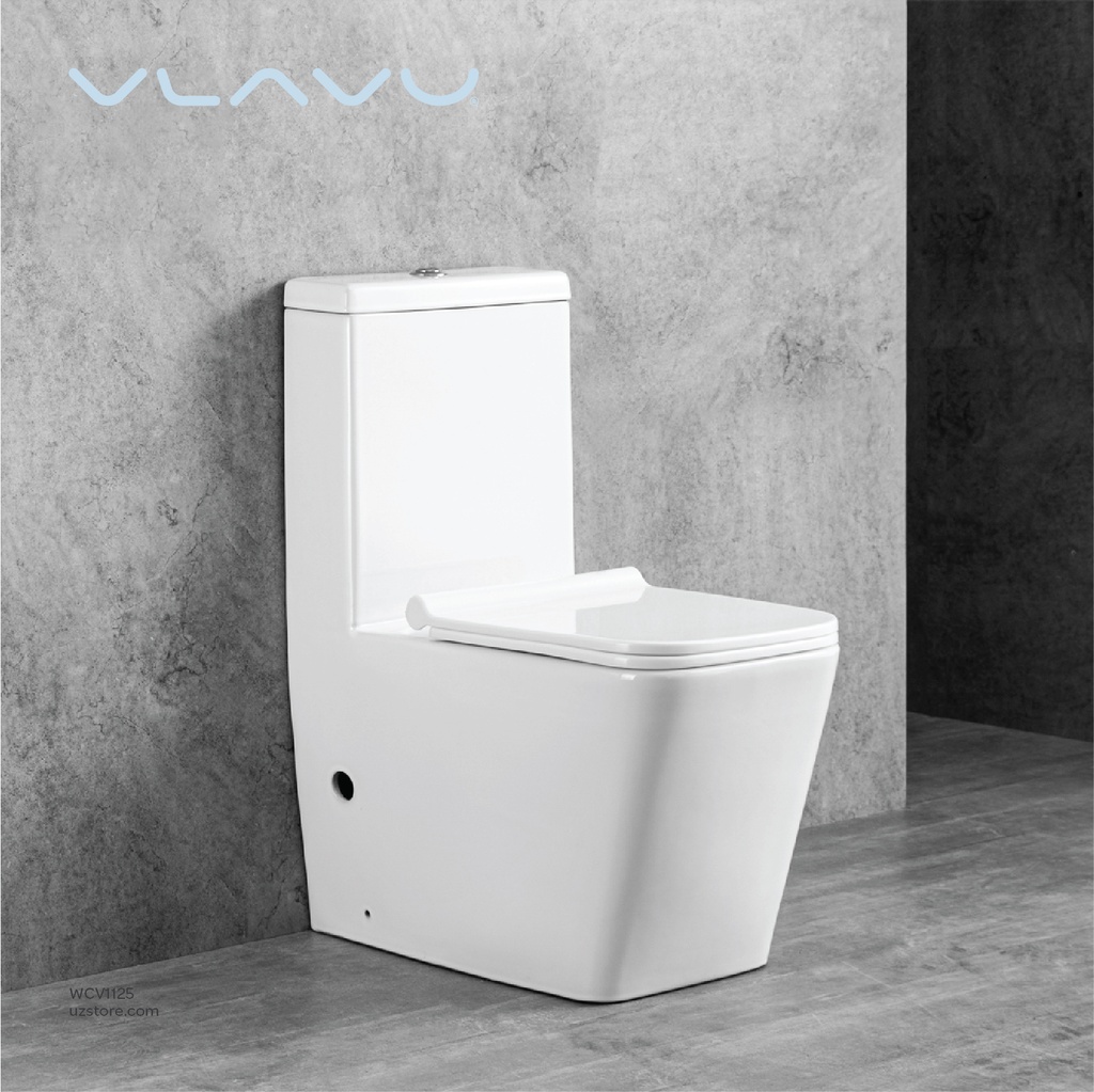 Vlavu Washdown one-piece toilet S-trap 250mm , UF seat cover 660x360x805mm CB.12.0005