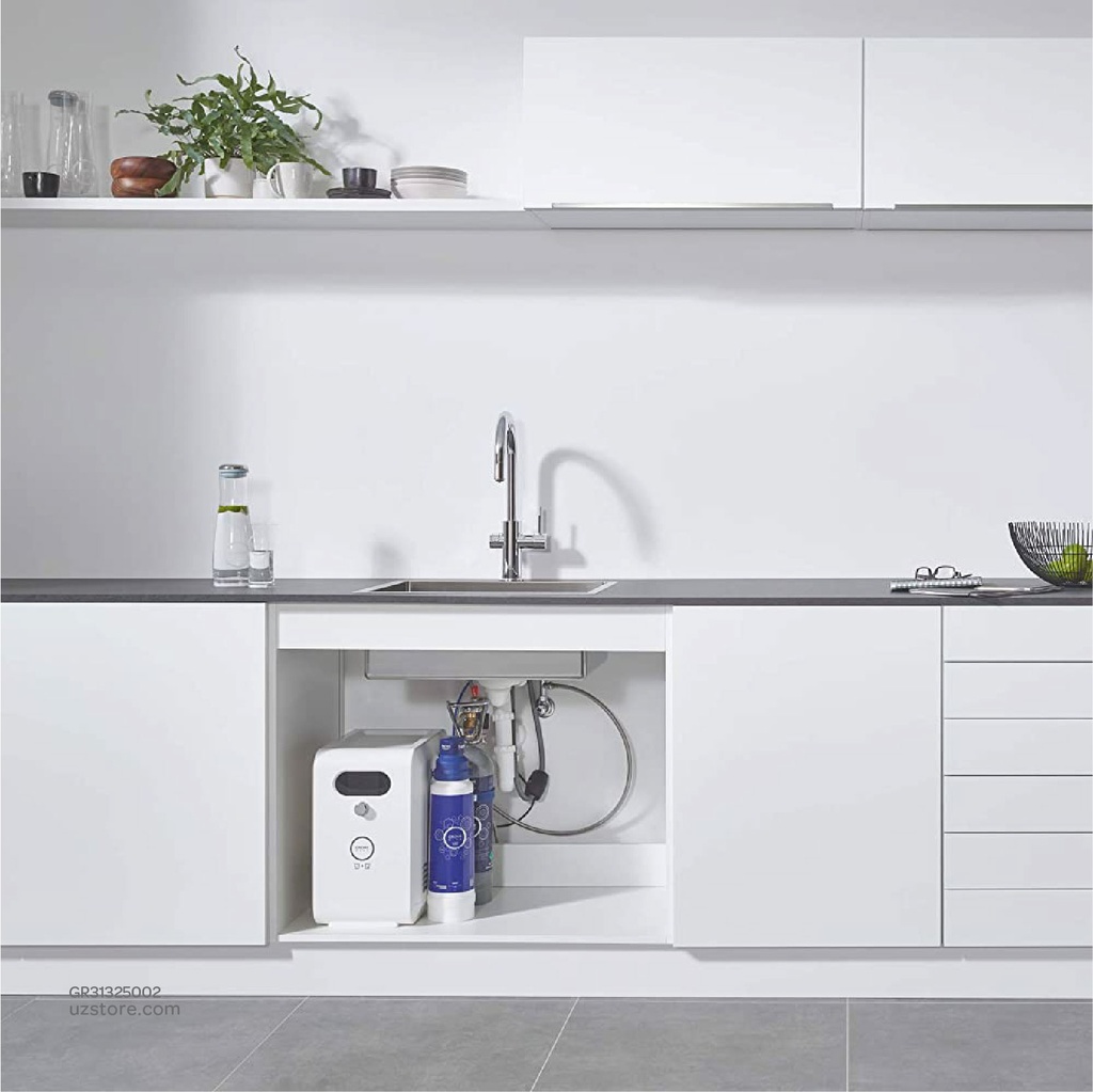 GROHE Blue Prof. C-sp pull-out mouss EU 31325002