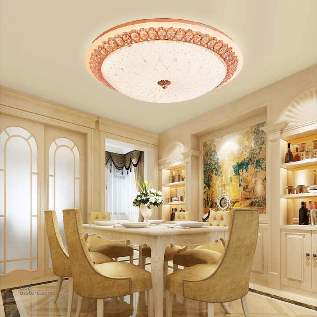 LED Round celling Light XD1002D