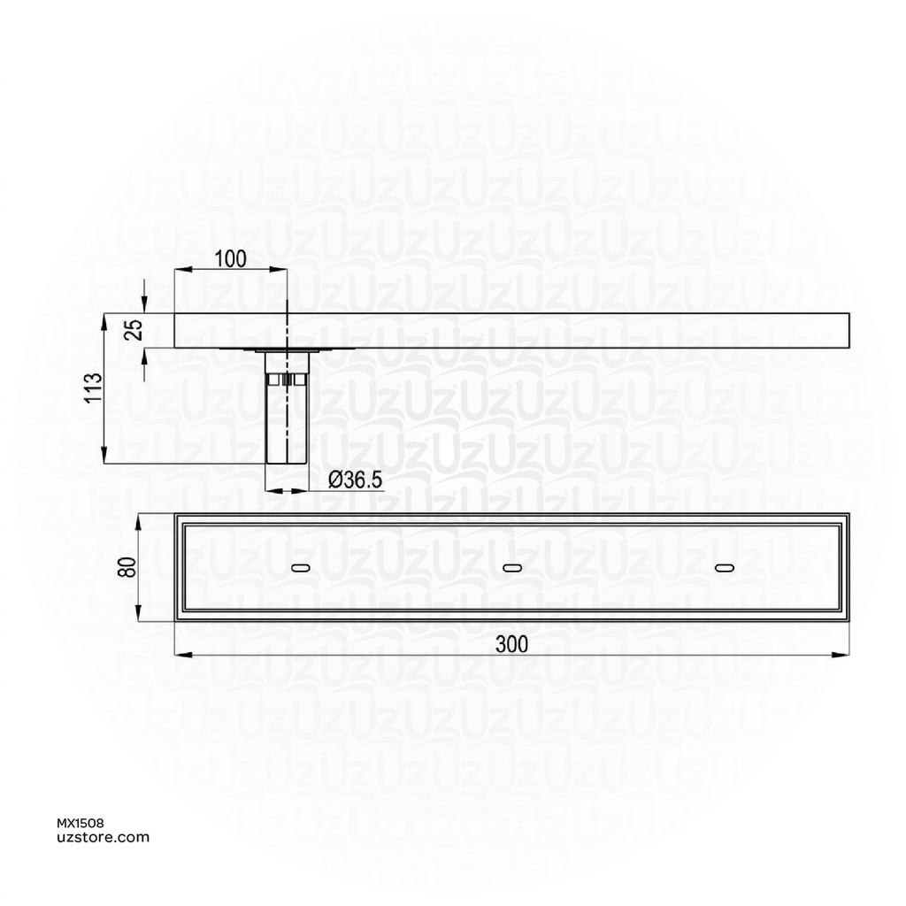 Kludi RAK Shower Channel Tile Insert with Smell Prevention and opening key  Channel 300x80mm SS 304 Satin - finish RAK90720