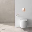 GROHE Nova Cosmopolitan WC wall plate S 37601DA0