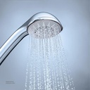 GROHE Relexa 100 Five handshower 28796000