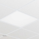 Philips LED 60X60 Panel Daylight 6500K RC055B LED 60X60 CW PSU 911401836285