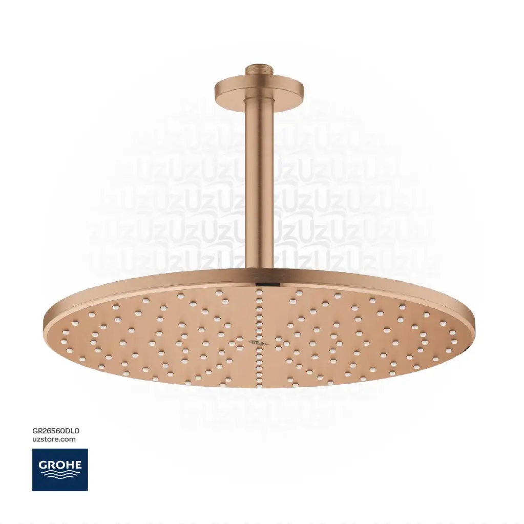 GROHE RSH 310 Mono headshw set 142mm 9,5 26560DL0