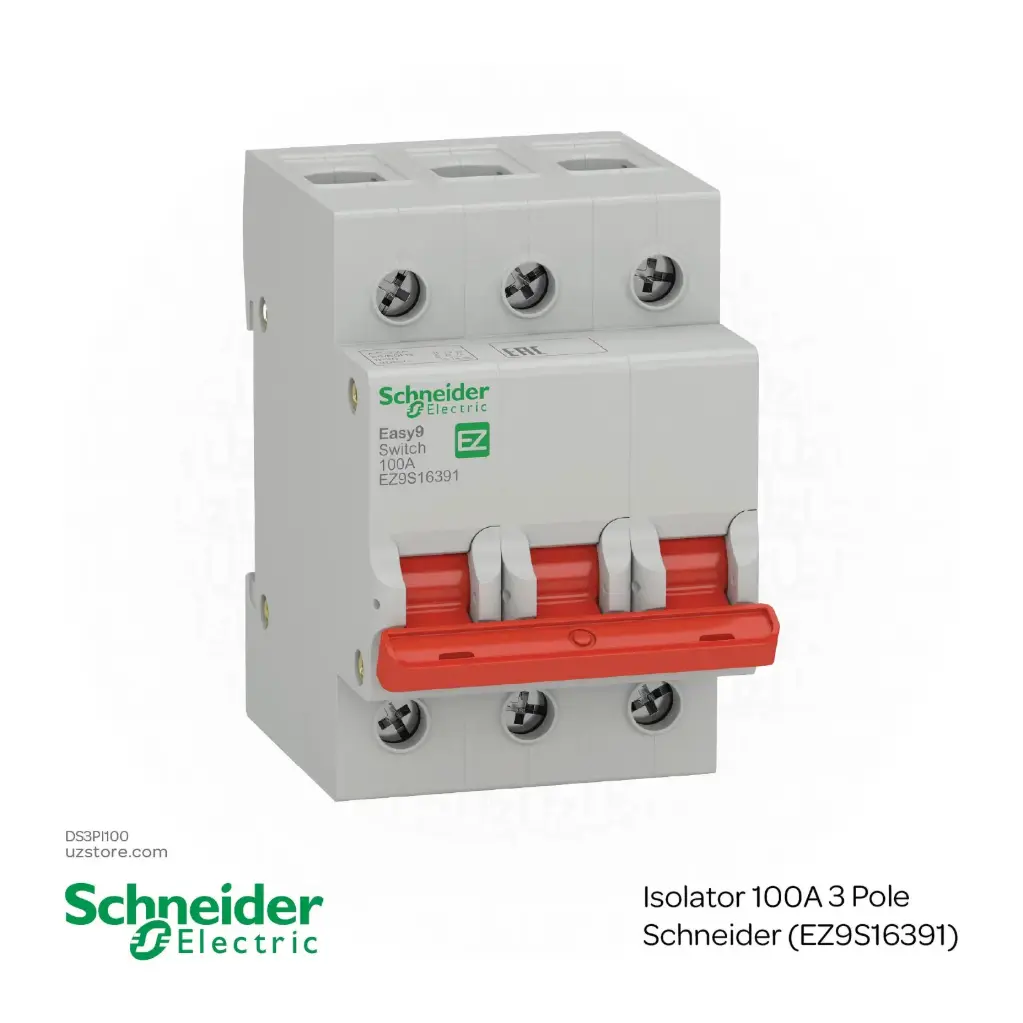 [DS3PI100] Isolator 100A 3 Pole Schneider (EZ9S16391)