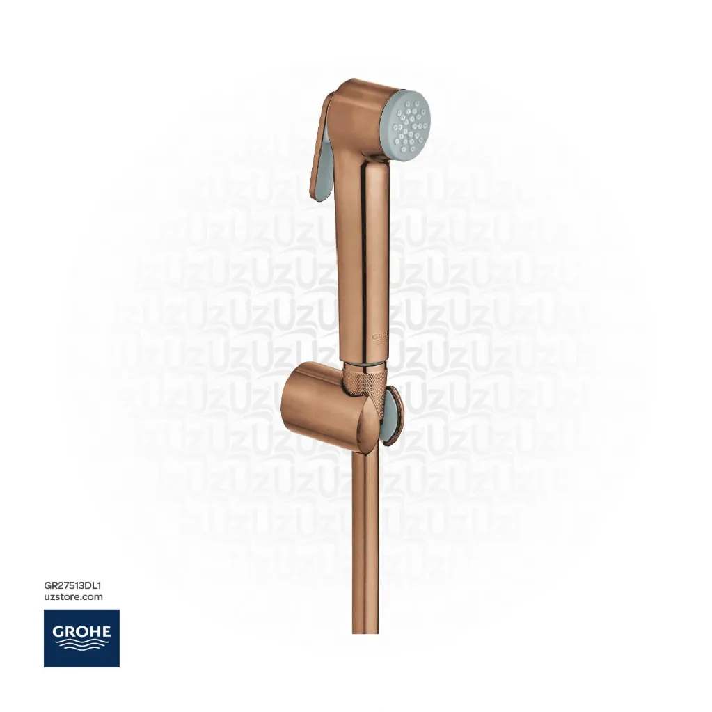 GROHE  New Tempesta-F Trigger Spray Set 27513DL1