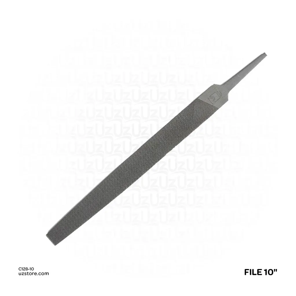 FILE 10"