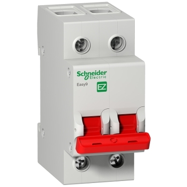 Isolator 2 Pole 100A Schneider single phase(EZ9S16291)