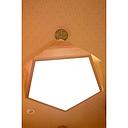 [E1201Y] Woody Ceiling  light D1031