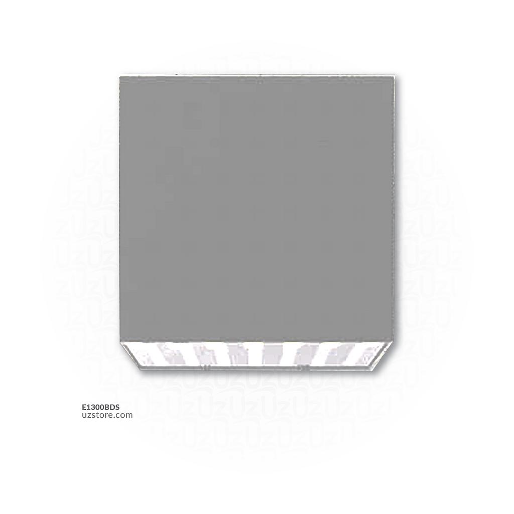 LED Outdoor Wall LIGHT  JK200210W WH Silver
