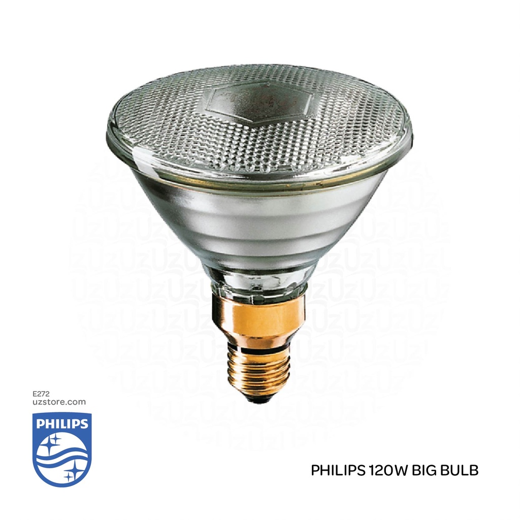 PHILIPS Big Lamp Bulb 120W 