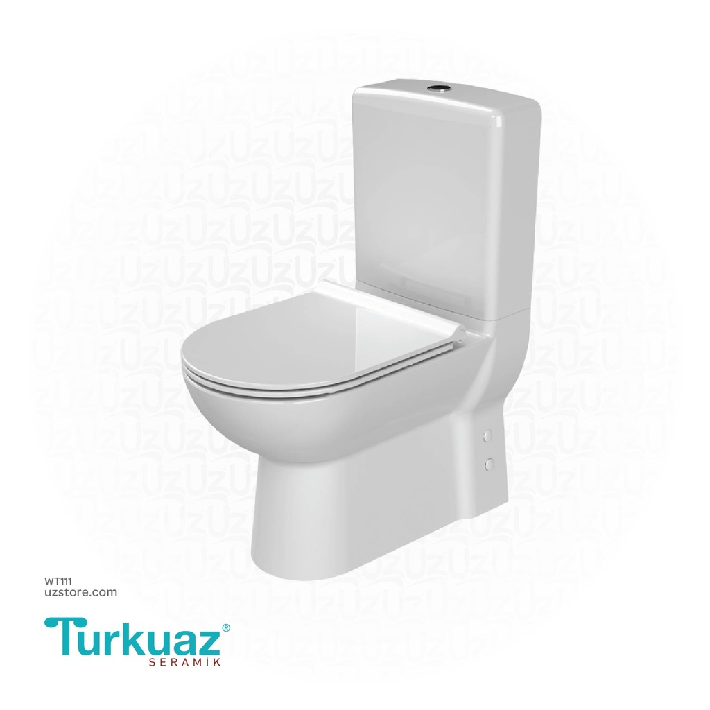 Turkuaz EWC Bella Back to wall + Cistern 008800-w