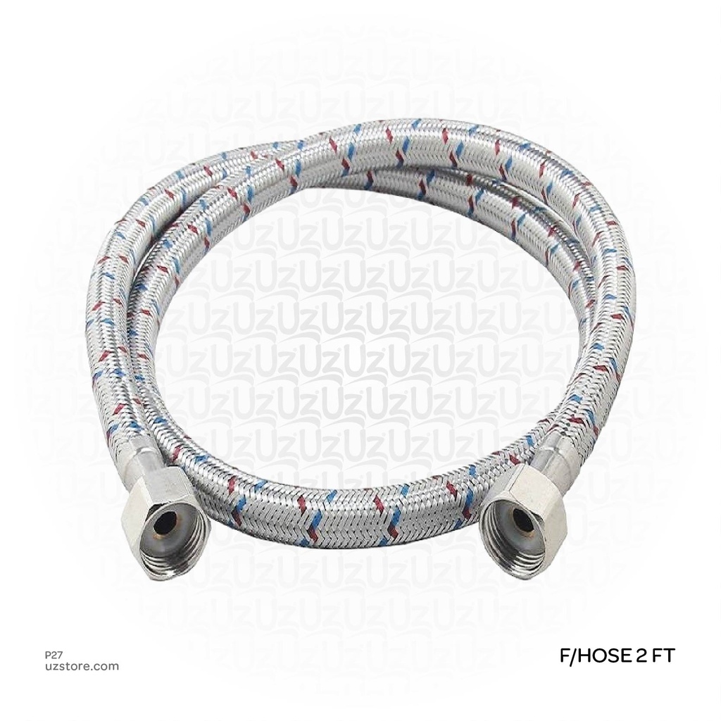 SS Flexible Hose 2 FT
