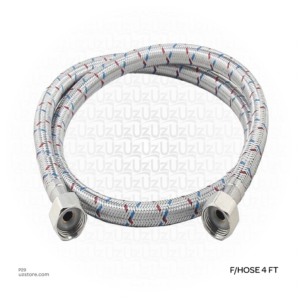 [P29] SS Flexible Hose 4 FT