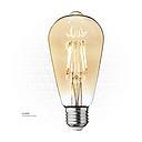 Clear LED lamp Filament ST64-10 Wires-WW