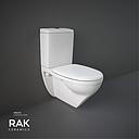 RAK -KARLA Water Closet Strap + Flush Tank & Seat Cover