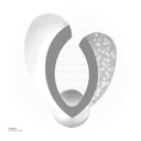 LED Wall Light  9810-2700k