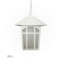 Outdoor Hanging LIGHT 919H（S）