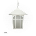 Outdoor Hanging LIGHT 919H（M）