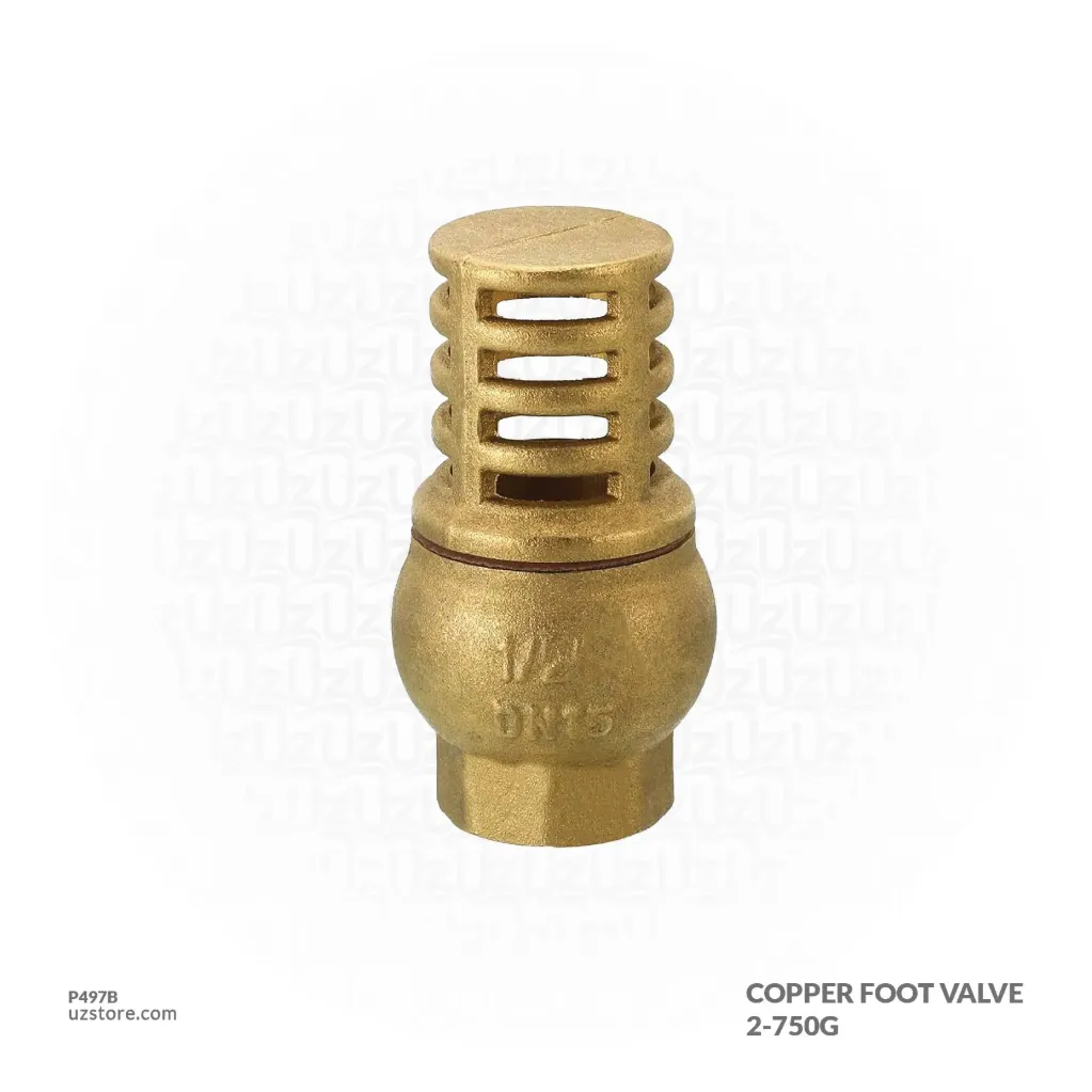 Copper Foot Valve 2-750G
