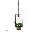Black Pendant Light with Glass Plant Pot , MD3026 φ390*H480