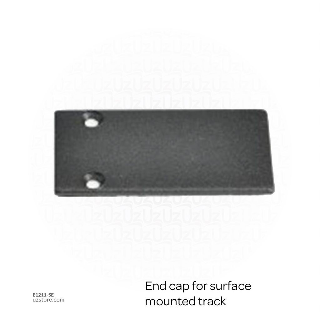End cap for surface mounted track 410028