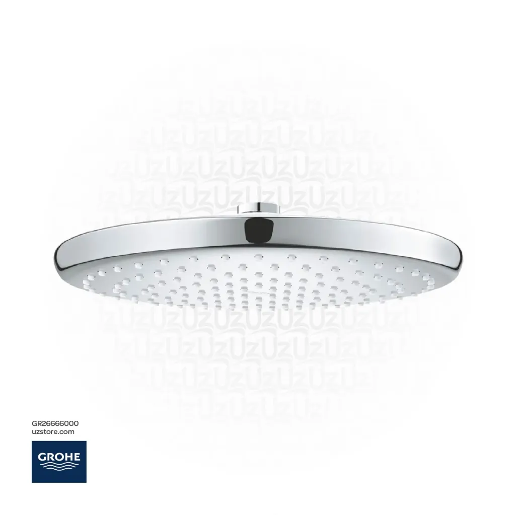 [GR26666000] جروهي Tempesta 250 headshower 9,5l 26666000
