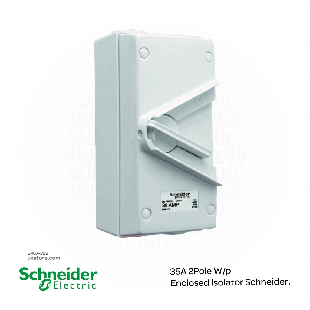 35A 2Pole W/p Enclosed Isolator Schneider