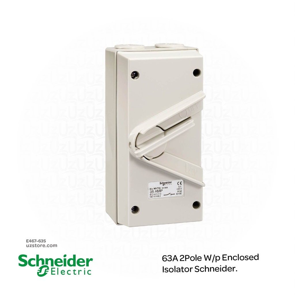 63A 2Pole W/p Enclosed Isolator Schneider