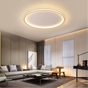 LED Ceiling Light A-95金 500mm