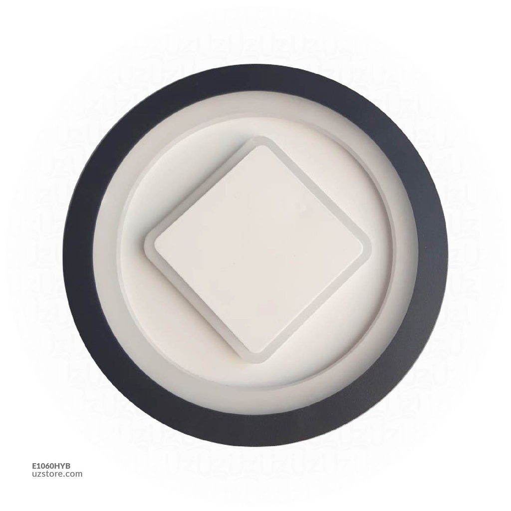 LED Wall Light  BL+WW