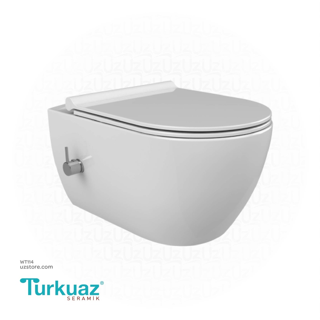 Turkuaz City Rimless Wall Hung WC 019100