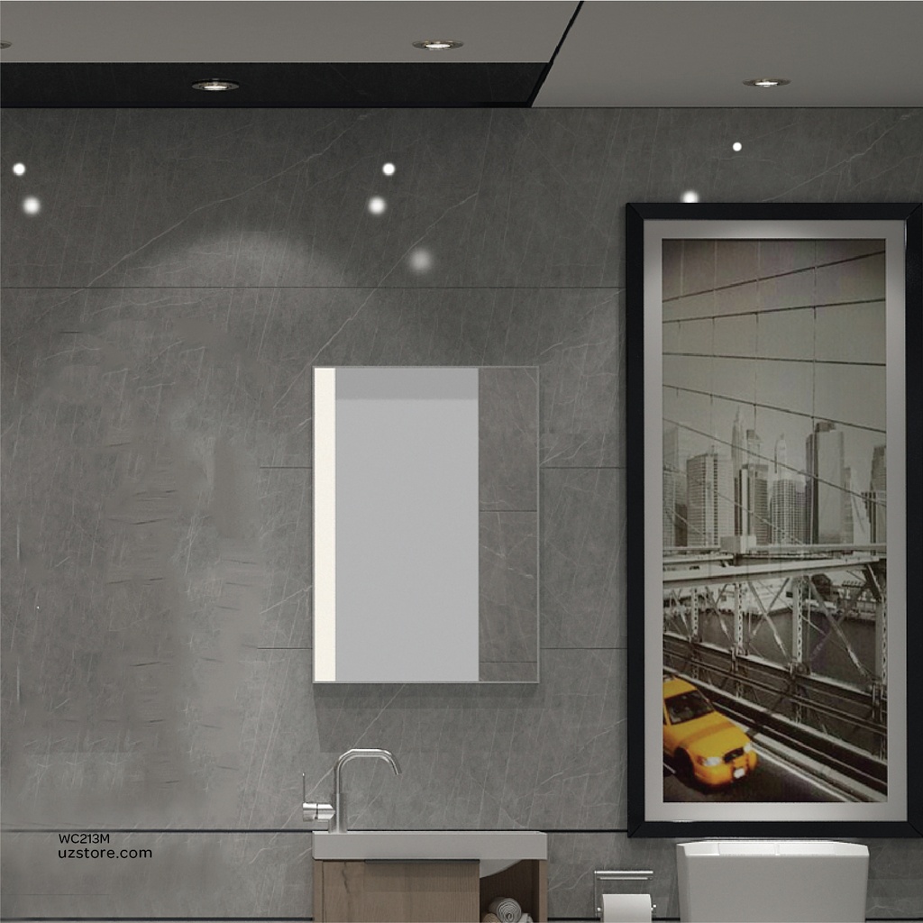 Mirror with LED light KZA-2166050M 500*40*700