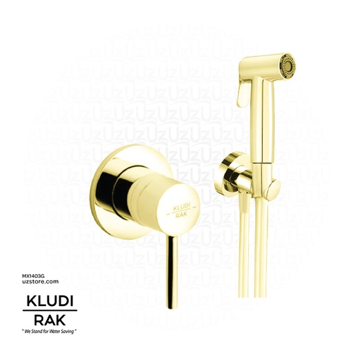 [MX1403G] KLUDI RAK  ABS shattaf with concealed single lever mixer with pre-installation kit RAK3200702.GD2 Matt Gold
