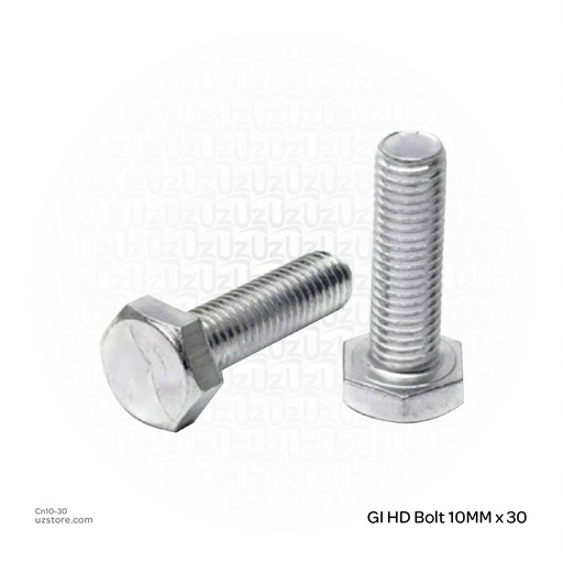 [Cn10-30] GI HD Bolt 10MM x 30