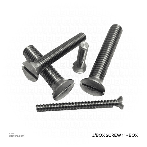 [CSS1] Switch Screw 1" - box