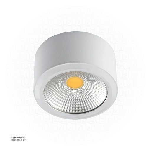 [E1240-5WW] Focus Light TDM-A001 5W