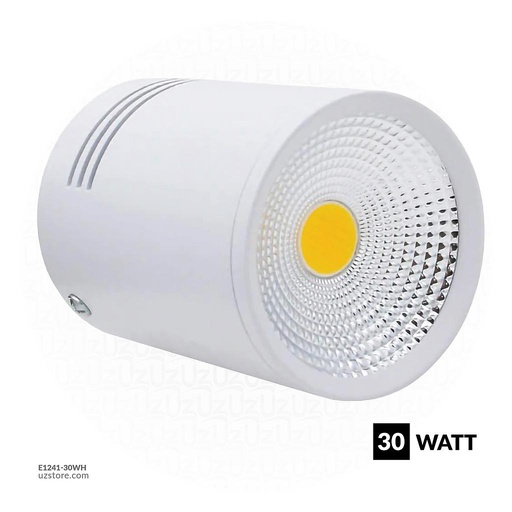 [E1241-30WH] Focus Light TDM-A007A 30W