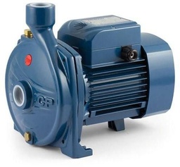 [E442] Pedrollo Centrifugal Water Pump 2 HP Italy