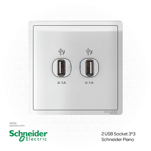 [SSP318] 2 USB Socket 3*3 Schneider Piano