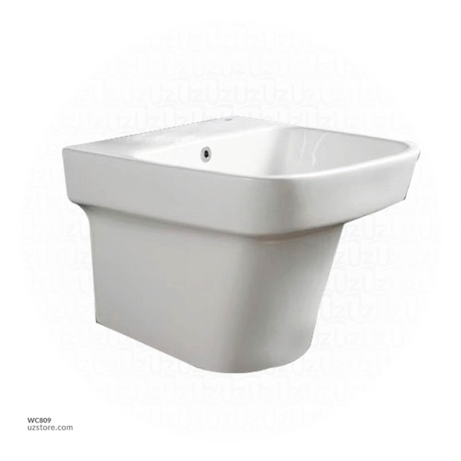 [WC809] Wall-hung One Piece Basin Y-406