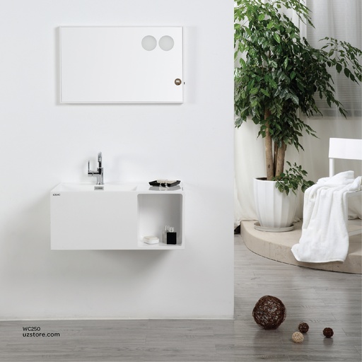 [WC250] PolyMarble WashBasin and LED Mirror KZA-1743080 800*450*350